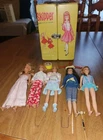 Barbie TNT Skipper Titian With Carry Case 4 Other Skippers Fun Time  Croquet