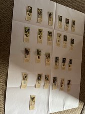 British Birds and Their Eggs Complete Set of Cigarette Cards