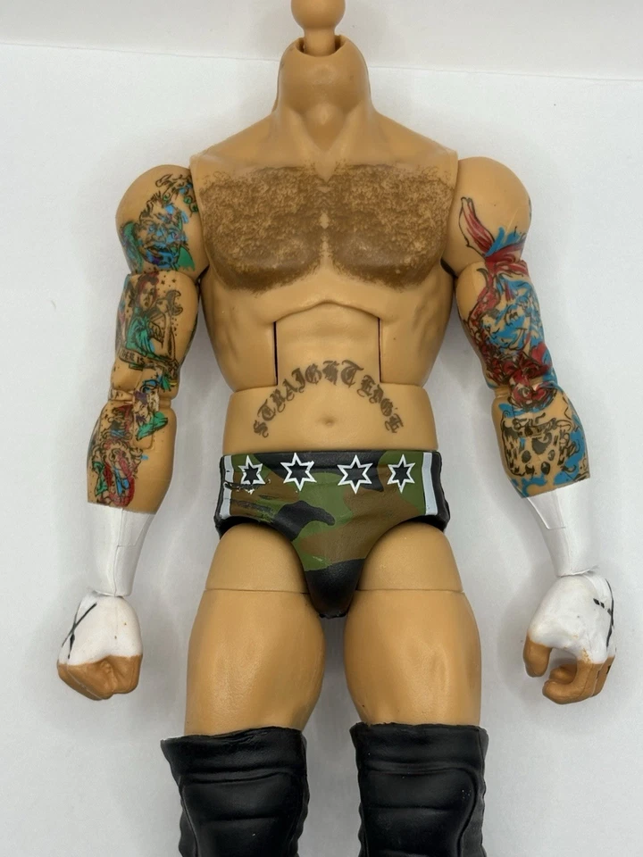 WWE Elite Series Ringside - SES CM Punk Forraje Corporal Completo (Defectos) Escala 1/12 Foto 2 de 4