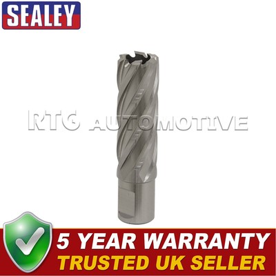 Sealey Worksafe �� 22 mm HSS Mag Bohrer Schnitttiefe 50 mm RBHSS22L