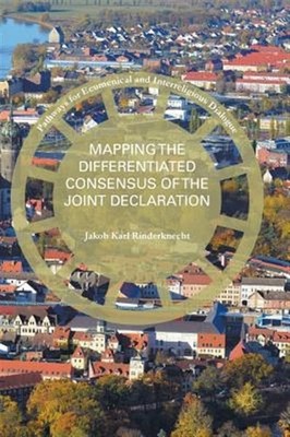 Mapping the Differentiated Consensus of the Joint Declaration, Hardcover by P...