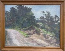 Impressionist Natural Landscape with Path Coastal Region Trees Sky Denmark 