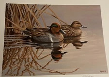 1985 SOUTH CAROLINA - State Duck Stamp Print ROSEMARRY MILLETTE + STAMP
