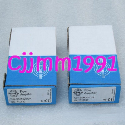 1PC NEW EGE Flow Sensor SKM420GR #CZ