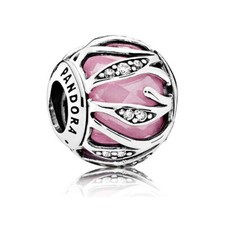 Charm Pandora Nature's Radiance bicolore donna 791969PZZ