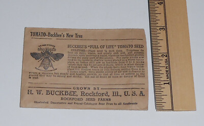 Antique Buckbee's Tomato Seed Packet Agriculture Farming History Rockford Il