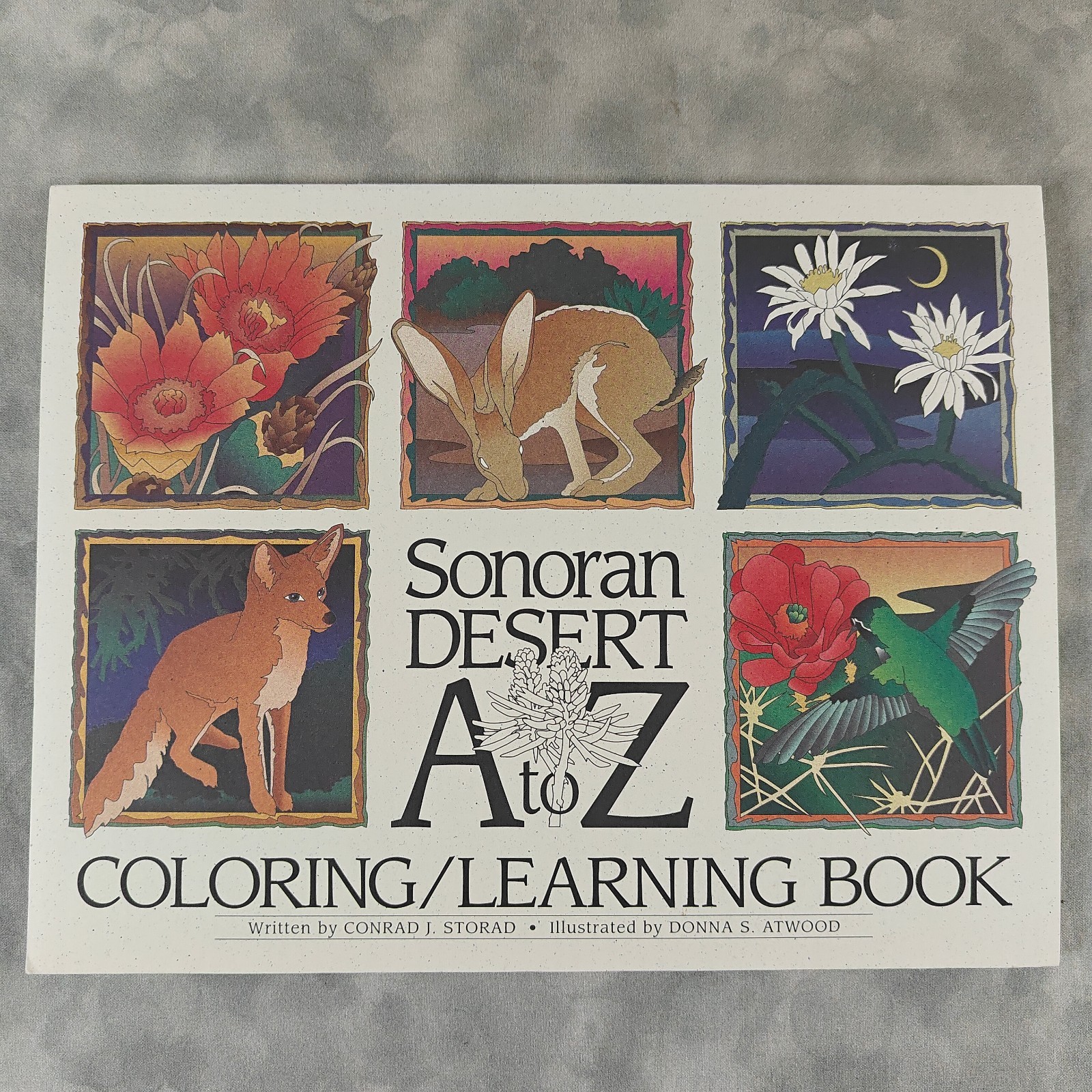 2002 Sonoran Desert A to Z Coloring/Learning Book Storad Atwood 32pp PB Southwes