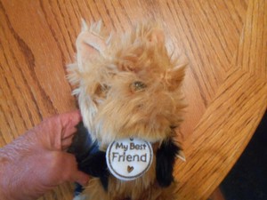 my best friend stuffed animal