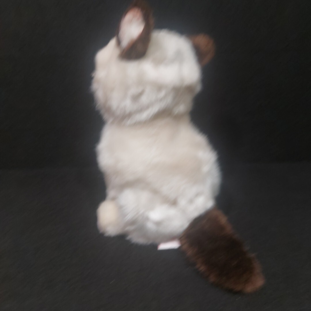 Picture 6 of 12
