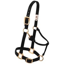 Premium Black Nylon Horse Halter Adjustable Heavy Duty Brass Hardware 1 Inch ...