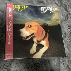 Flying Beagle | eBay