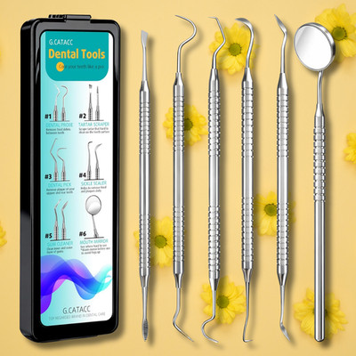 Dental Tools, Dental Pick for Teeth Cleaning, Stainless Steel Hygiene Kit with T