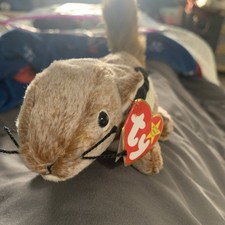 TY Beanie Baby - CHIPPER the Chipmunk (6.5 inch) - MWMT Free Shipping  
