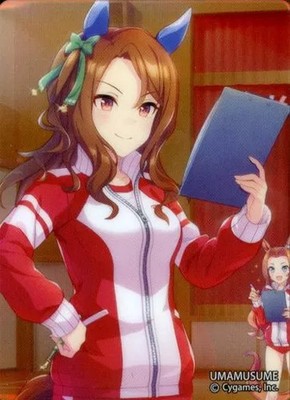 King Halo Uma Musume Pretty Derby Noble Art Collection Vol.2 Acrylic Stand Japan