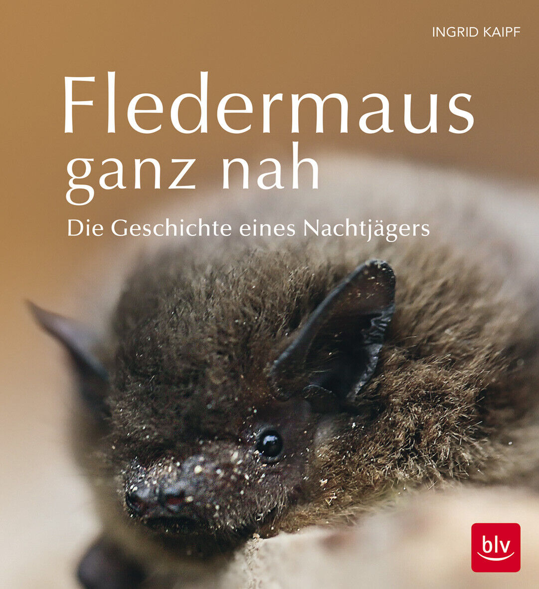 Thumbnail - Ingrid Kaipf / Fledermaus Ganz Nah