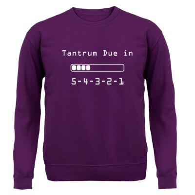Wutanfall fällig in 5 4 3 2 1 - Kinder Hoodie / Pullover - Baby lustig Schrei Eltern