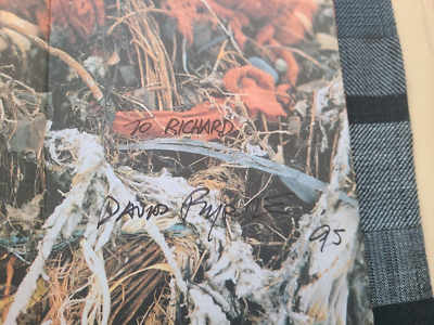 Strange Ritual: David Byrne Pictures And Words 1995 Hc 1st Ed