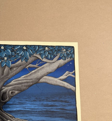 My Morning Jacket Official Tour Poster Santa Barbara 2021 - Mishka Westell - LE - Picture 5 of 5