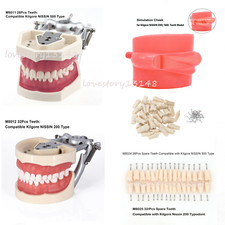Dental Typodont Model with Screw-in Resin Teeth fit Kilgore NISSIN 200/500 Type