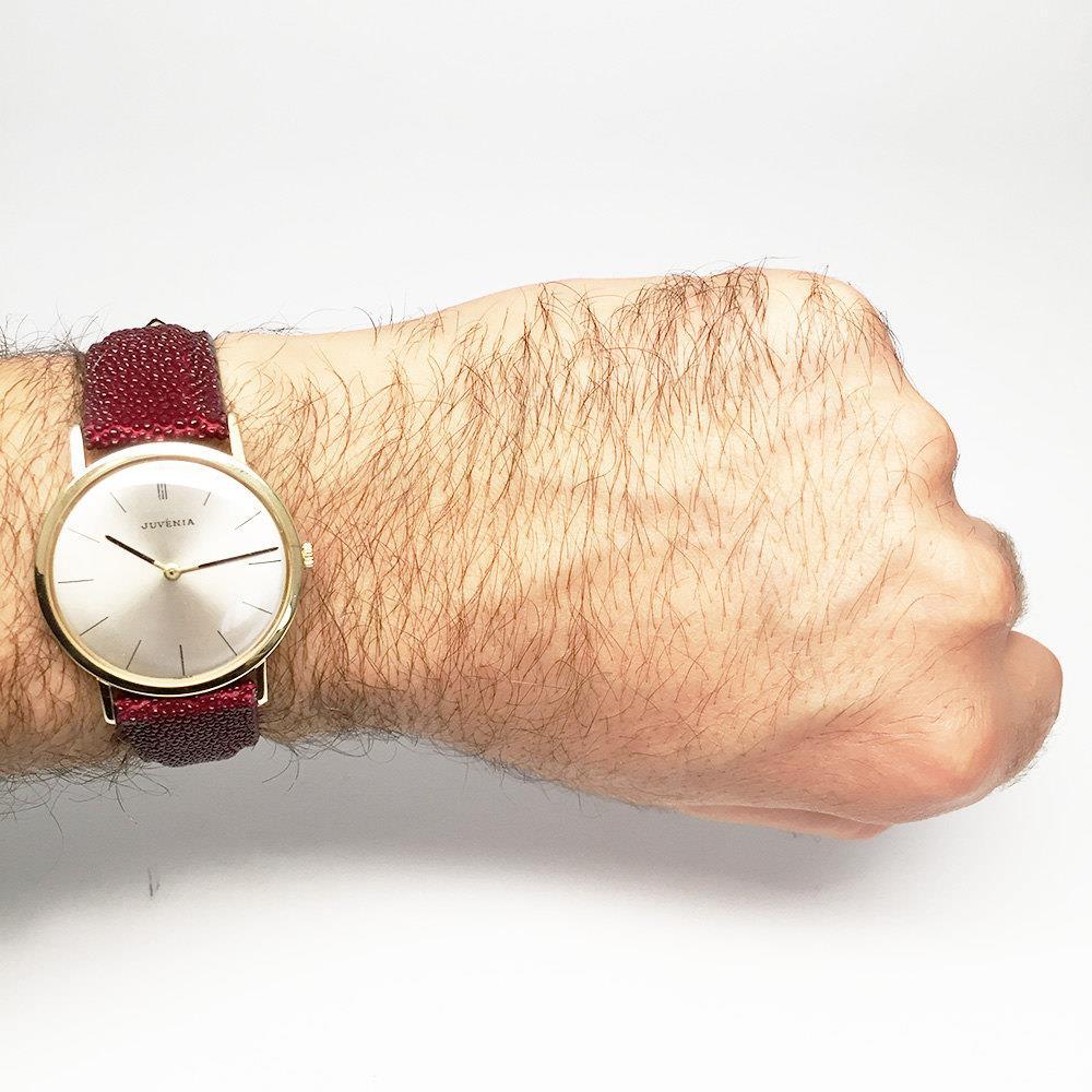 1970s Vintage Juvenia Manual Wind Watch | eBay