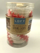 String Lights Starfish Loft Living Cool White 10 Feet NIP Mini 40 LED Battery Op