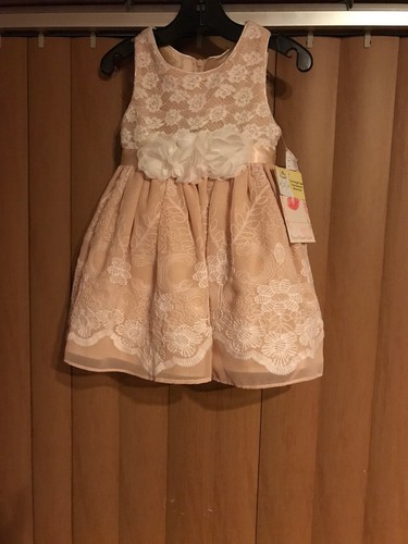 Sweet Heart Rose Ivory/Beige Girls Toddler Dress Child’s 2T - 第 3/8 張圖片