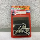Warhammer Fantasy Dark Elf Witch Elves metal OOP new in blister BD71475