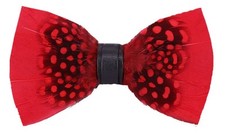 Men's Peacock Feather Bowtie Dress up Great Pre Tied Formal Party Suit Bow Ti...