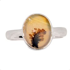 Natural Scenic Dendritic Agate 925 Sterling Silver Ring Jewelry s.6 CR71572