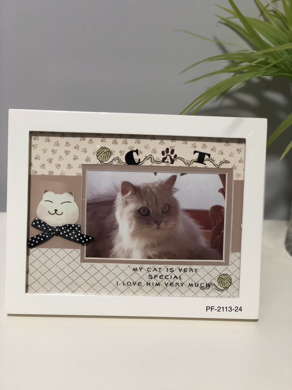 Photoframe Cat Free Gift