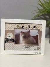 Photoframe Cat Free Gift