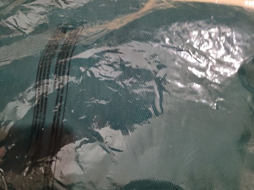 NEU Jungen French Toast Uniform/Freizeit Kurzarm Poloshirt - Bild 4 von 4