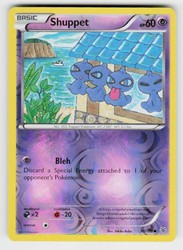 Shuppet 30/108 Roaring Skies