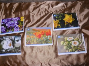 Floral Greeting Card (blank inside) - Set of 5 @ Envelopes ~ from City of Hope