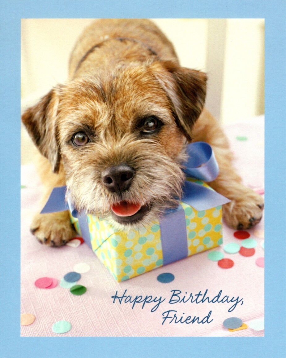 Happy Birthday Friend Dog Grateful For Friendship Hallmark Greeting Card