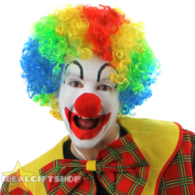 BUNTE CLOWN PERÜCKE AFRO LOCKIGES HAAR 70ER DISCO KOSTÜM ZIRKUSARTIST