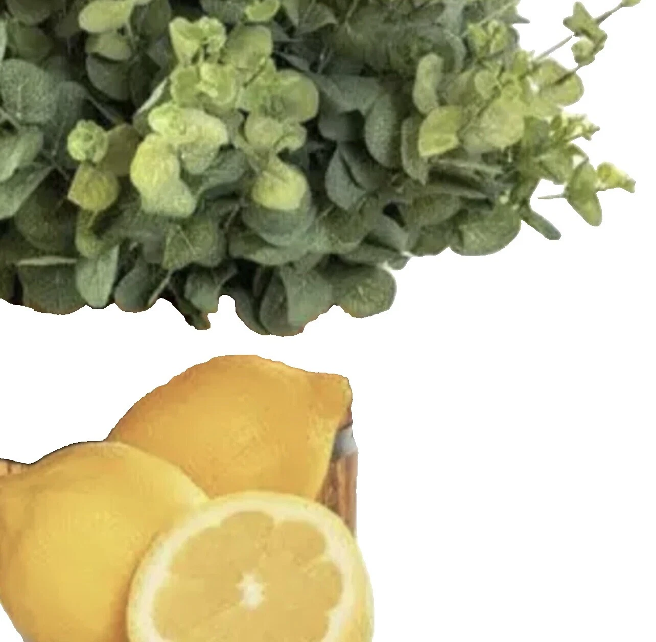 Lemon Scent Body Sprays & Mists