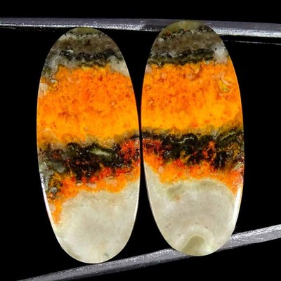 24.00Cts Natural Bumble Bee Jasper Oval Cabochon loose Gemstone 12x27x4mm