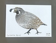 Nuevo Mini Impresión Raro Personalizado Anastasia Inciardi "Codorniz de California"