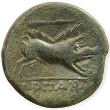 Arpi, Apulia AE 3rd Century BC Zeus Boar Greek Ancient Bronze Coin 6N