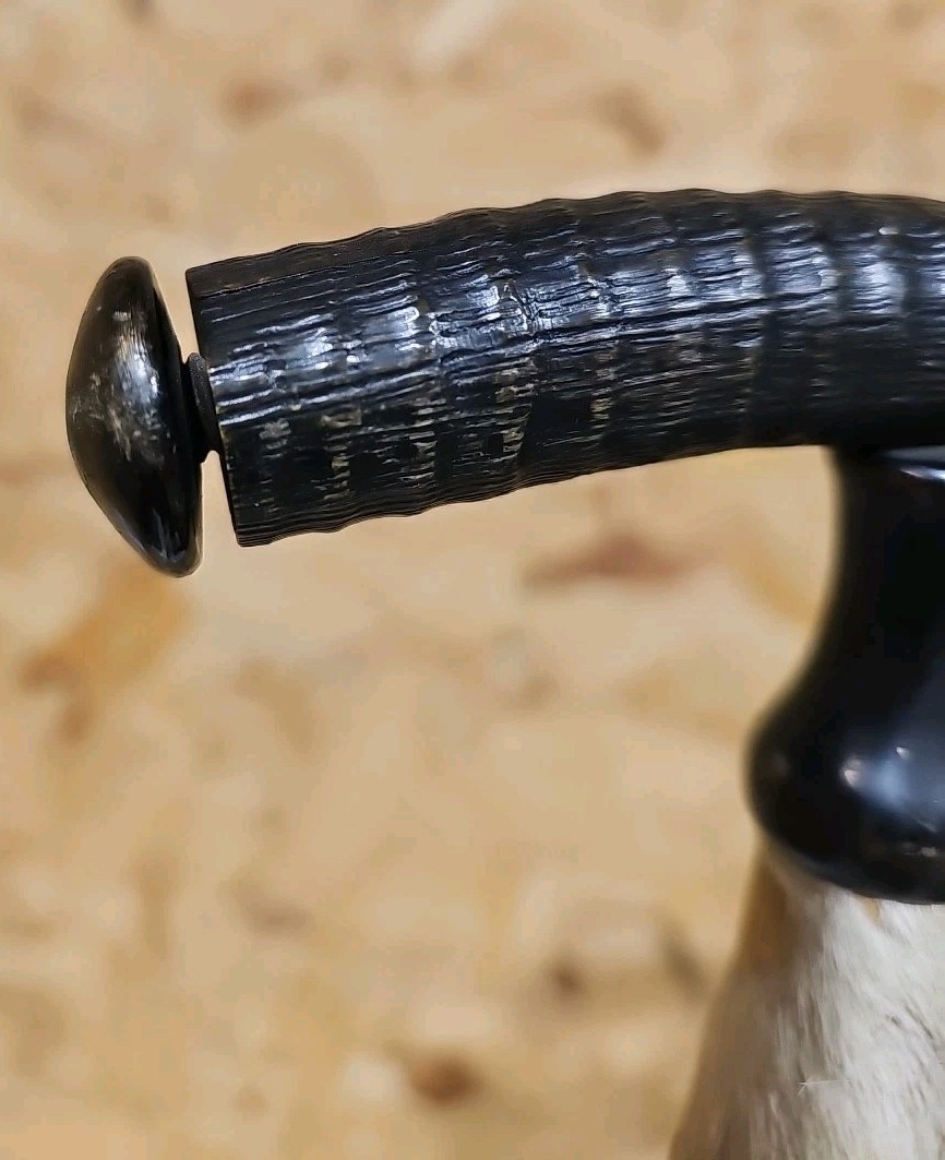 Antique Swiss Alpine Hiking/Walking Stick Goat Horn & Hoof Handle — image 5