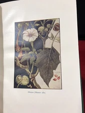 Thirty Important BAIDYANATH AYURVEDIC Products Sharma INDIAN MEDICINE Plant Herb