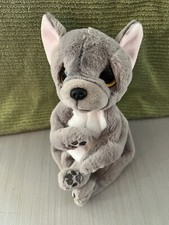 Ty Beanie Baby Boos Bellies WILFRED the French Bulldog / Dog 6" Size