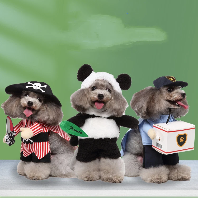 Dog dress on sale up outfits