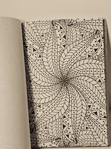 Indian Serenity Elizabeth James Colouring Book 1 2015 Free Postage - Picture 10 of 10