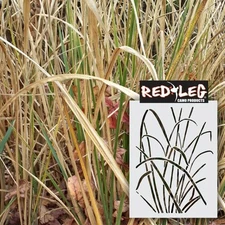 Redleg Camo ™ 912NG marsh grass duck boat camo stencil kit