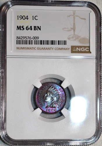 NGC MS-64 BN 1904 Indian Head Cent, Jaw-Dropping, Gorgeously Toned specimen!