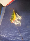 VINTAGE HEDDON WOOD WEEDLESS WIDOW FROG COLOR FISHING LURE EARLY VERSION