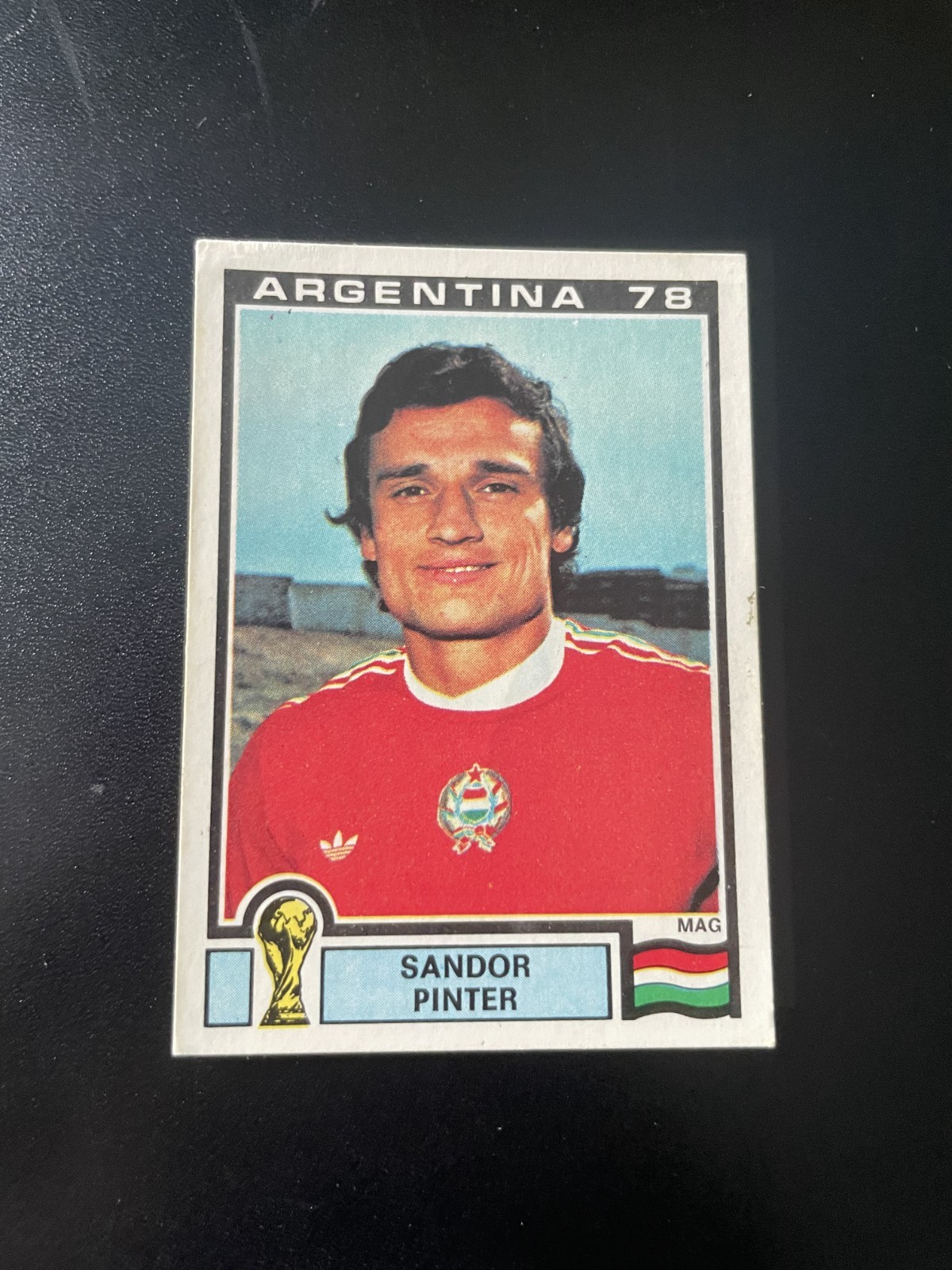 ALBUM FIGURINE PANINI WC ARGENTINA 78 #73 Sandor Pinter COME DA FOTO