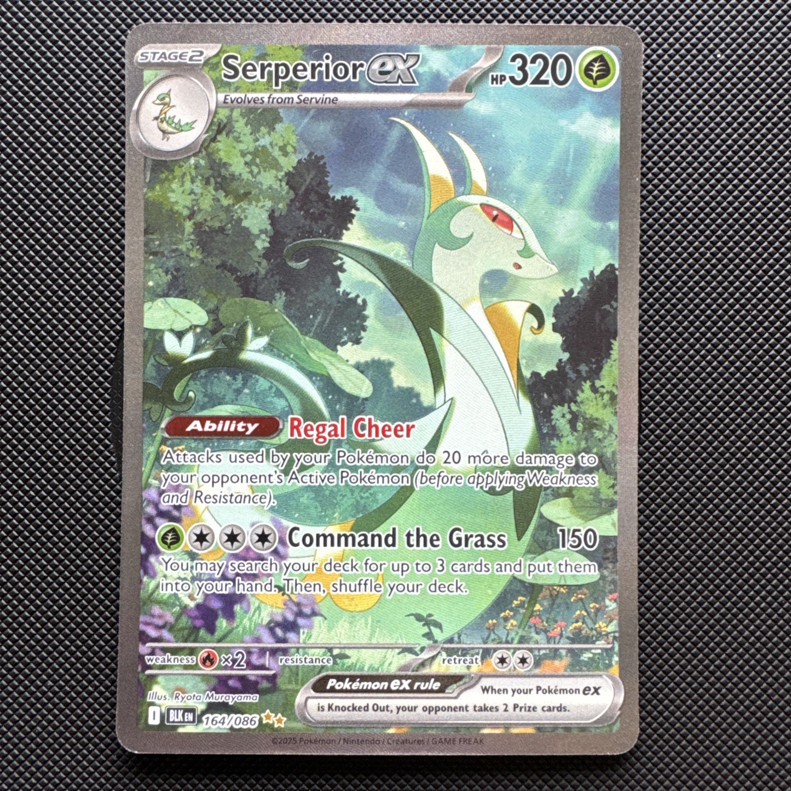 Serperior Ex 164/086 Special Illustration Rare - Pokémon Black Bolt - Near Mint